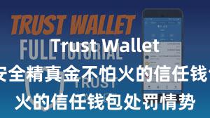 Trust Wallet官网下载 安全精真金不怕火的信任钱包处罚情势