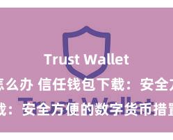 Trust Wallet助记词忘了怎么办 信任钱包下载：安全方便的数字货币措置用具