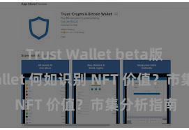 Trust Wallet beta版 Trust Wallet 何如识别 NFT 价值？市集分析指南