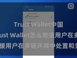 Trust Wallet中国区下载 Trust Wallet怎么救援用户在多链环境中处置和兑换钞票？